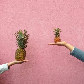 Photo de deux personnes tenant un ananas dans leur paume, l’un plus petit que l’autre. Illustration du billet : Comparaison n’est pas raison.