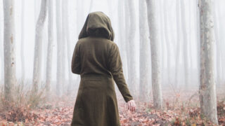 Au second plan une forêt embrumée aux couleurs d’automne. Au premier plan, une femme de dos avec une cape et une large capuche sur la tête laisse penser à une sorcière qui s’enfonce dans la brume.