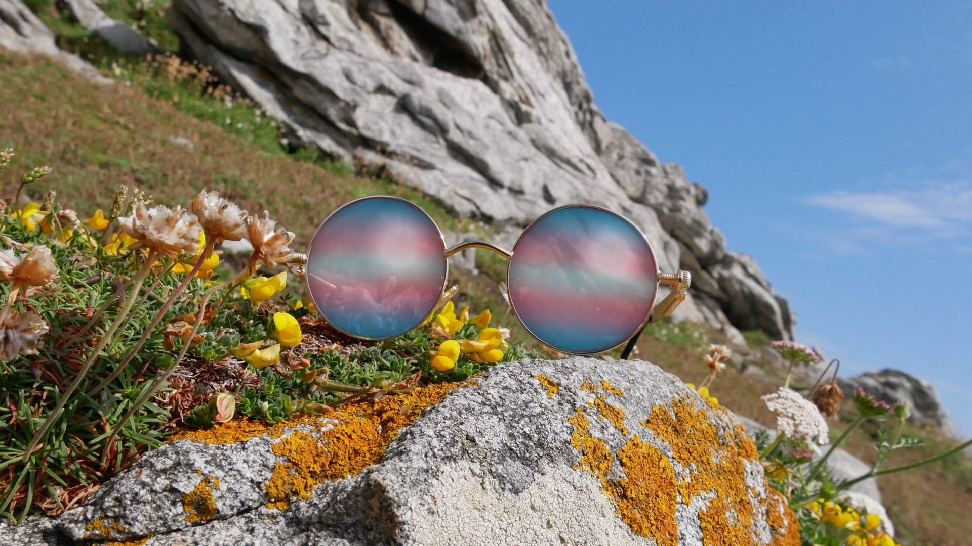 Photo en gros plan d'une paire de lunette de soleil, argentée et ronde, dont les verres reflètent le drapeau de la fierté transgenre. Elles sont posées sur un rocher, dans un décor montagneux et fleuri.